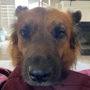 Meet your Posher, Claudia